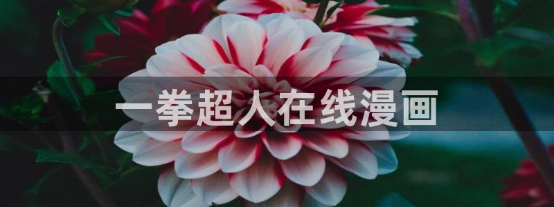 汗汗漫画入口处：一拳超人在线漫画